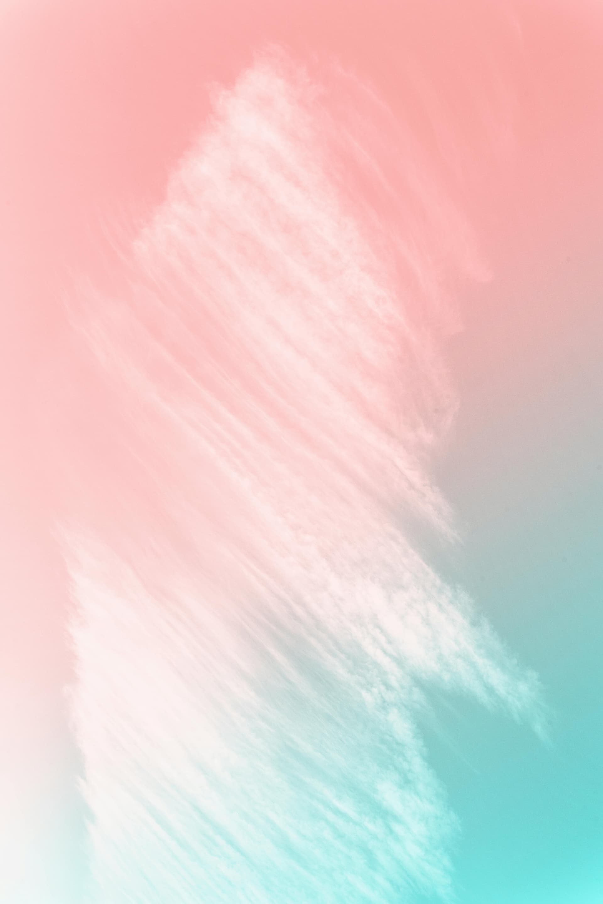 Content and creative freelance