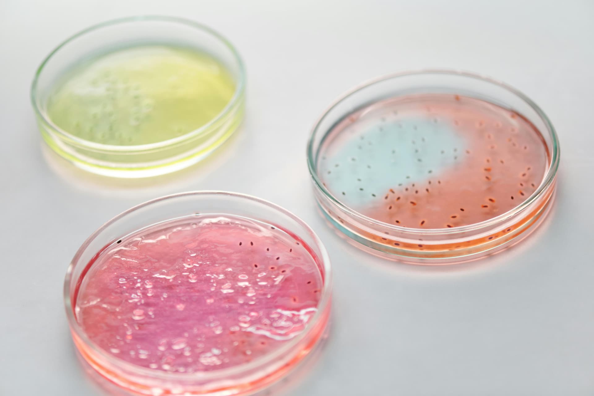 Scientist working with biotech ingredients in a lab